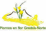 Piornosenflor GredosNorte