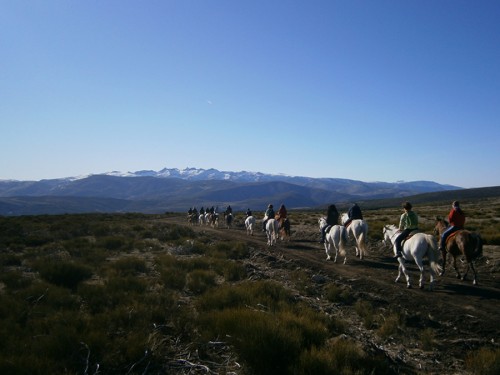 rutasacaballogredos